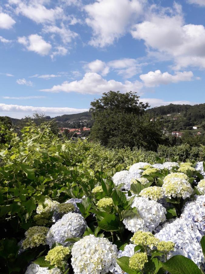 Casa Estarque Guest House Gondomar Luaran gambar