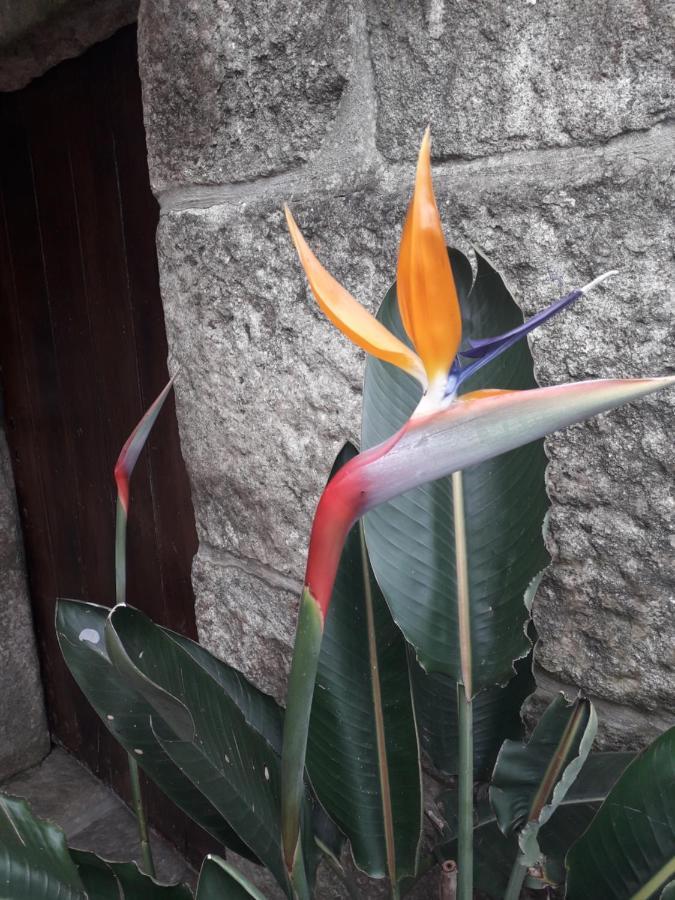Casa Estarque Guest House Gondomar Luaran gambar