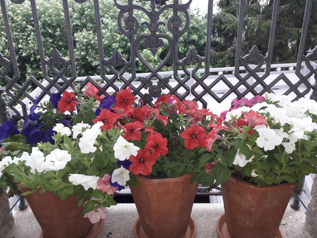 Casa Estarque Guest House Gondomar Luaran gambar